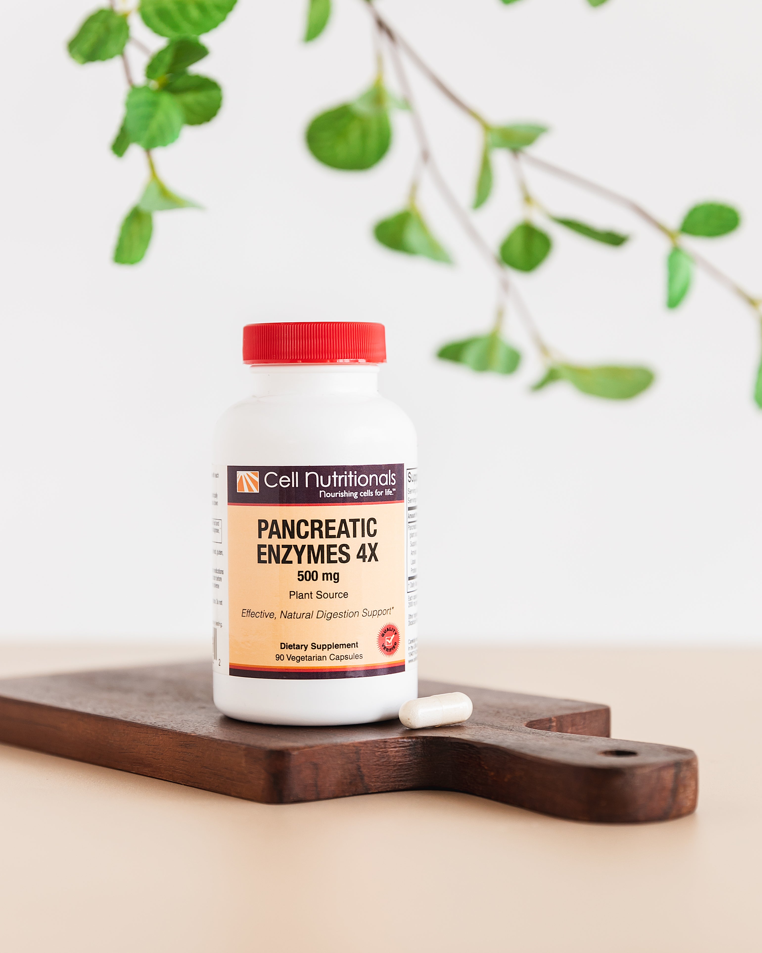 Pancreatic Enzymes Supplement for Digestion, Nutrient Absorption ...